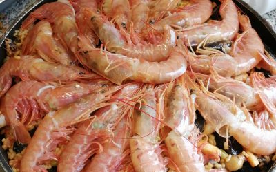 MARTEDI 7 DICEMBRE 2021 – SERATA PAELLA!!!